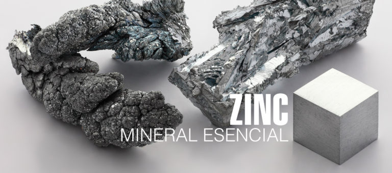 Zinc, mineral esencial para la vida humana