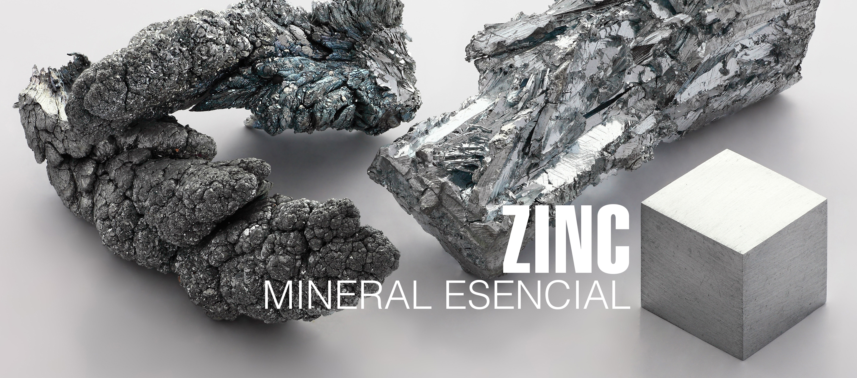 zinc-mineral-esencial-para-la-vida-humana